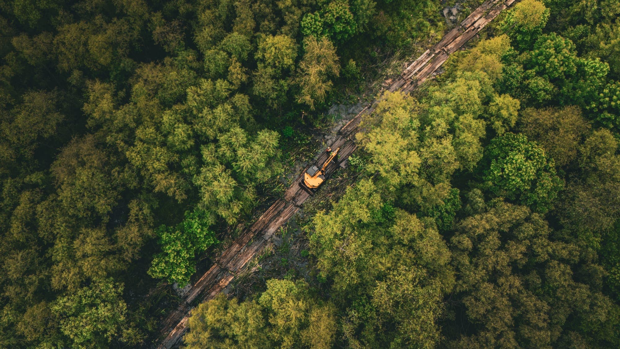 Overhead view of a cleanly defined right of way cut running through dense green hardwood forest, with felled material stacked along the edge.